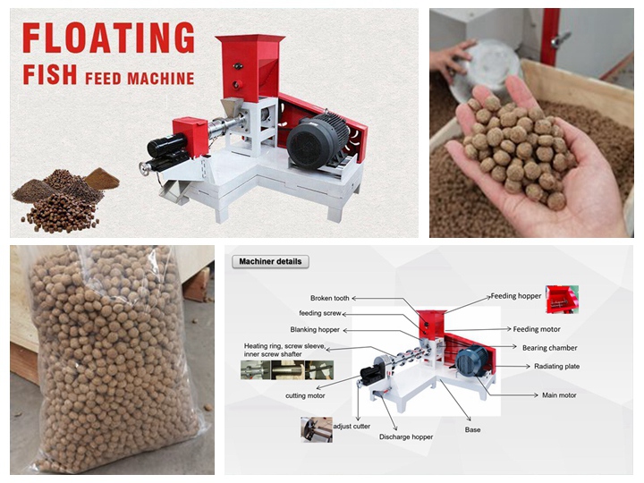 Brand new feed pellet extruder Factory low cost in Angola